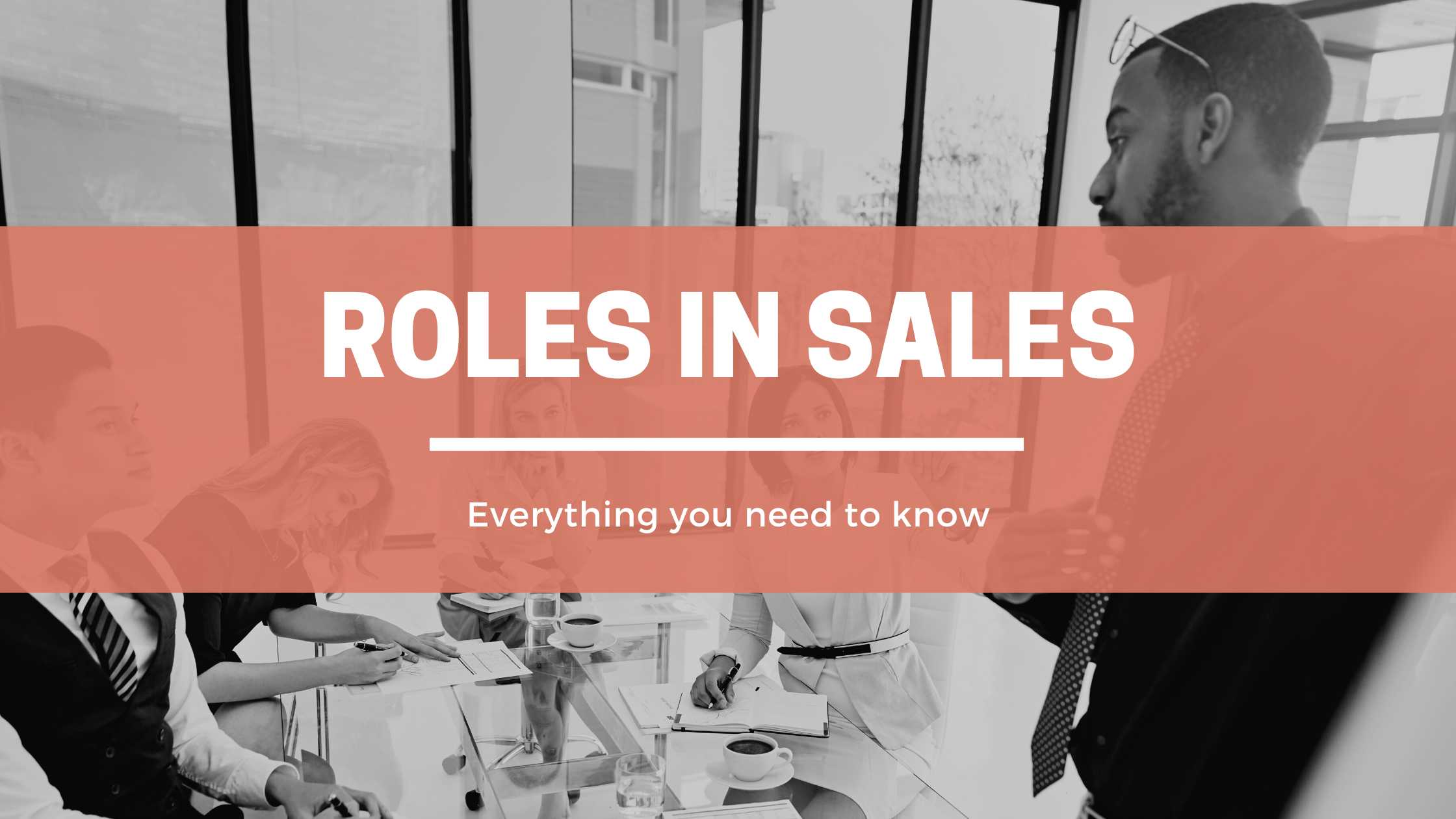 Roles in Sales header image