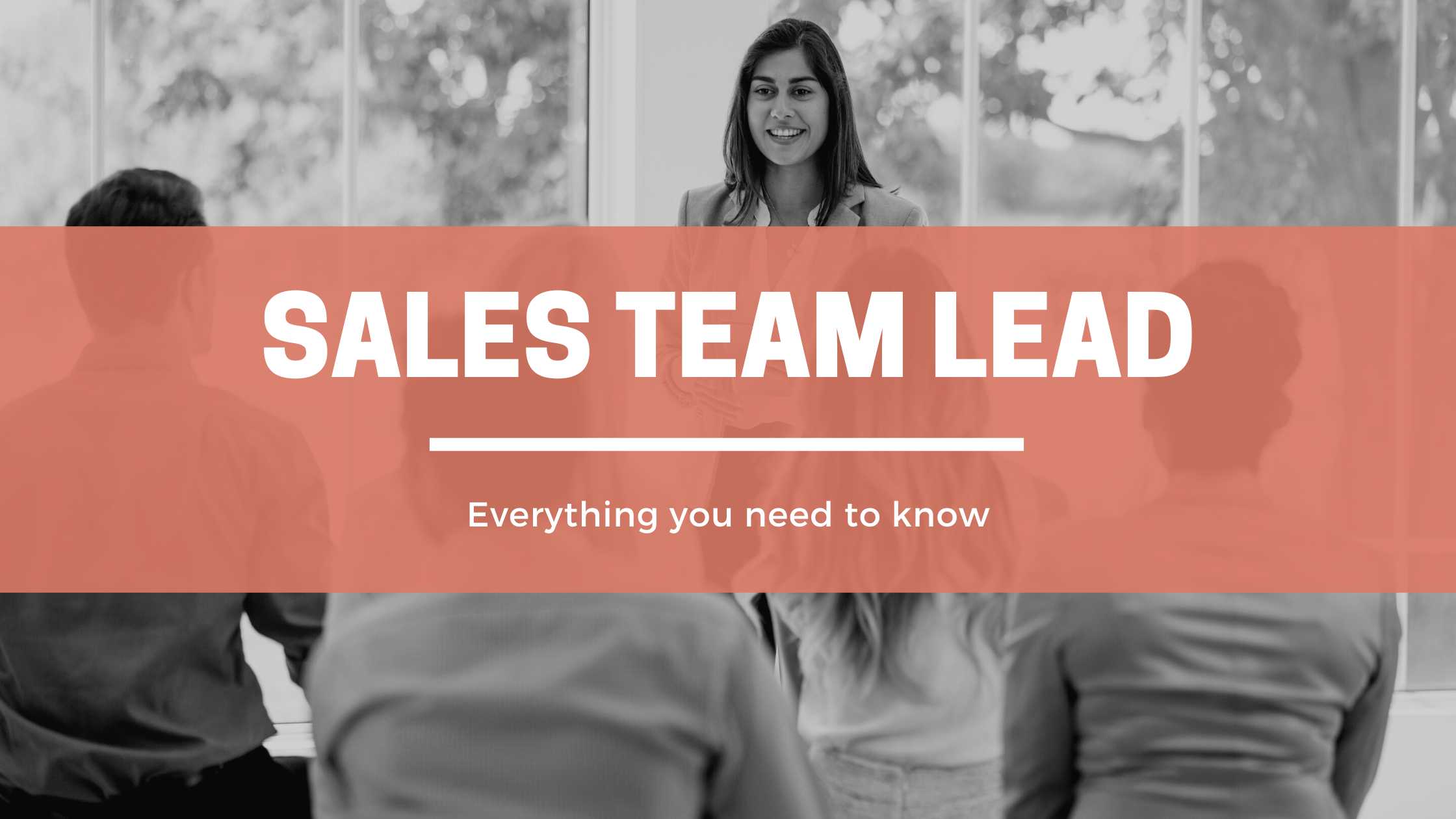 Sales Team Lead header image