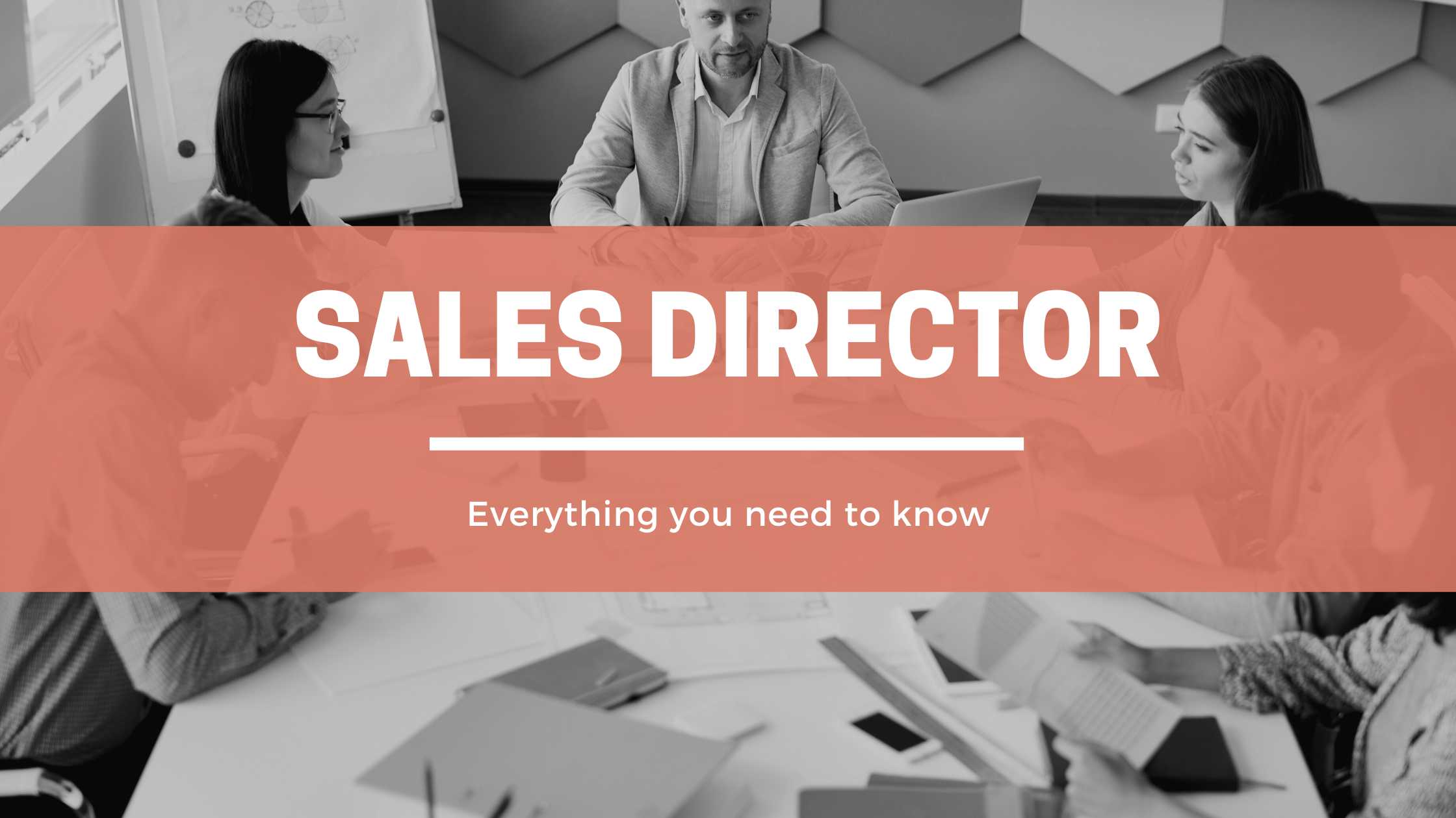 Sales Director header image