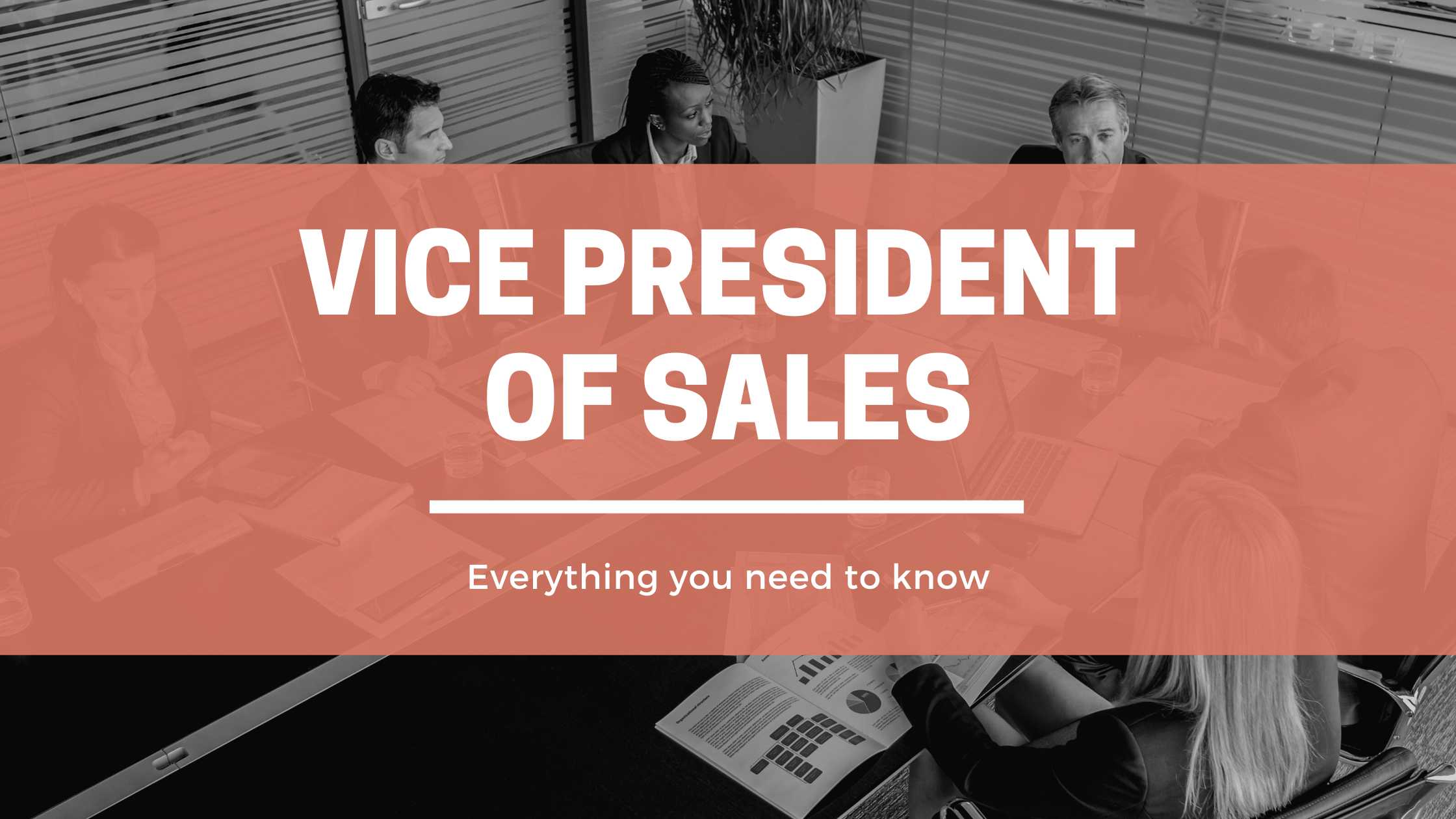 Vice President of Sales header image