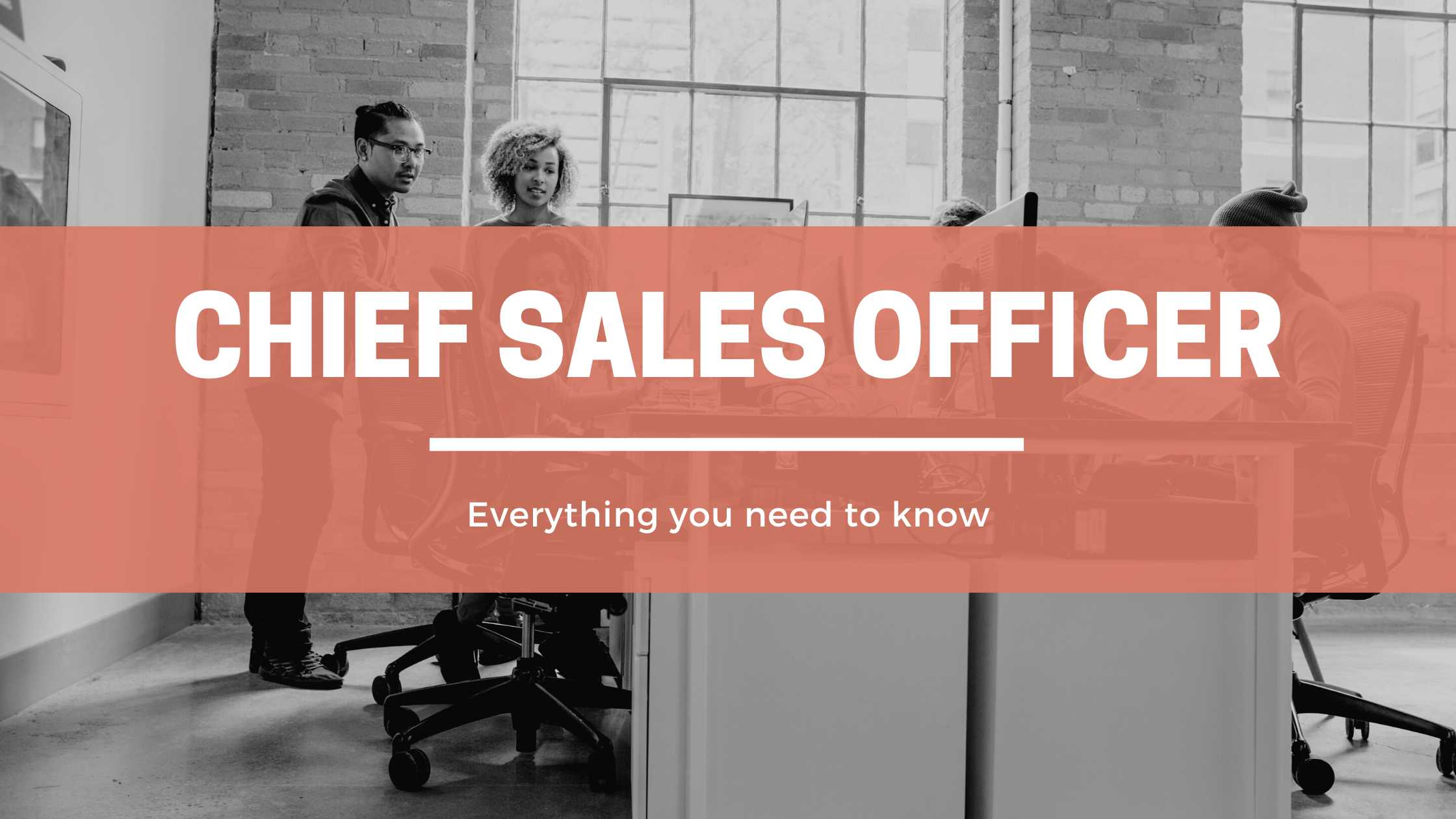 Chief Sales Officer header image