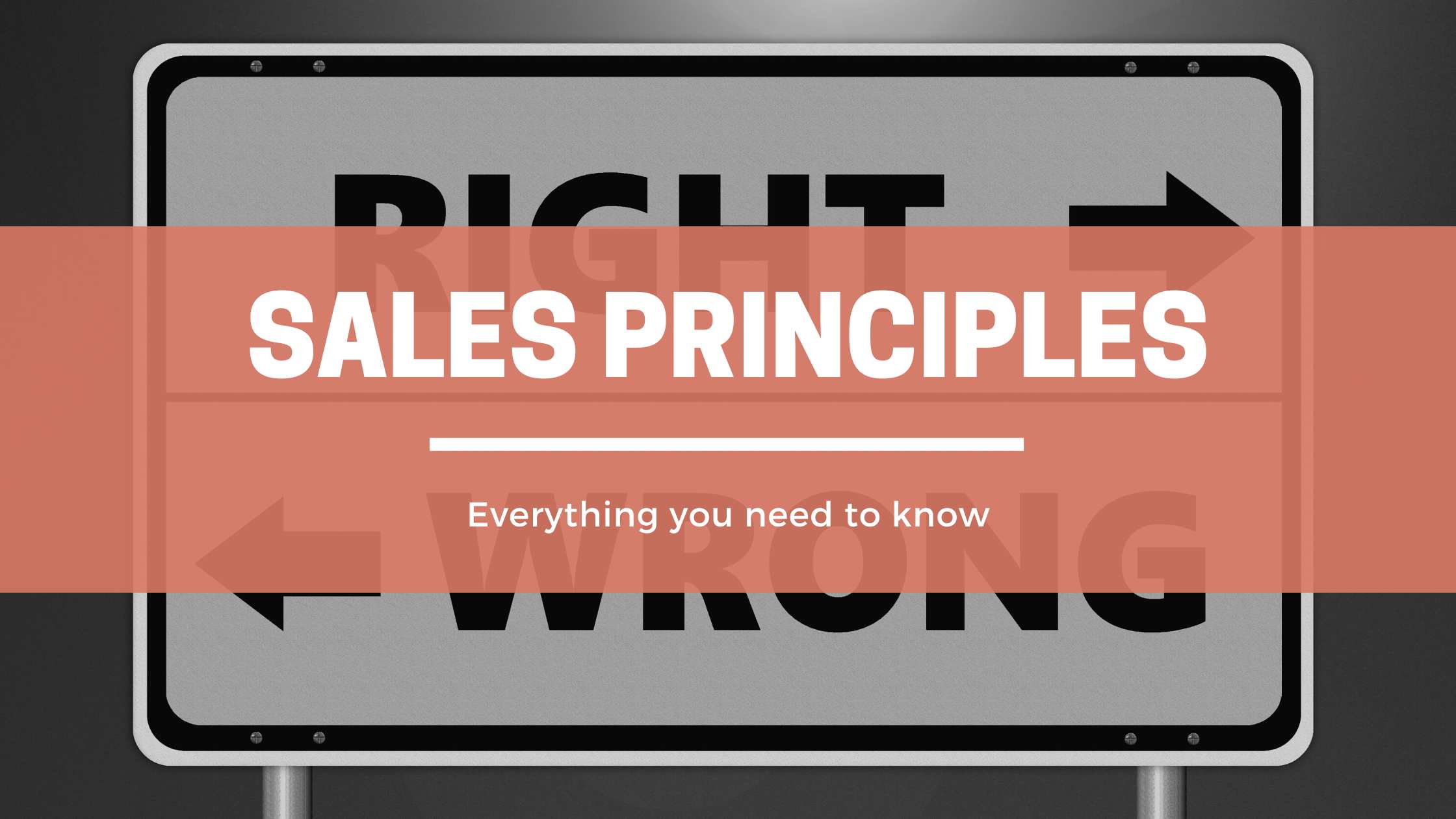 sales principles header image